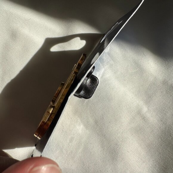 NWT Disneyland Celebrate the Mountains Splash Mountain Brer Rabbit Brer Frog Pin - Picture 15 of 15